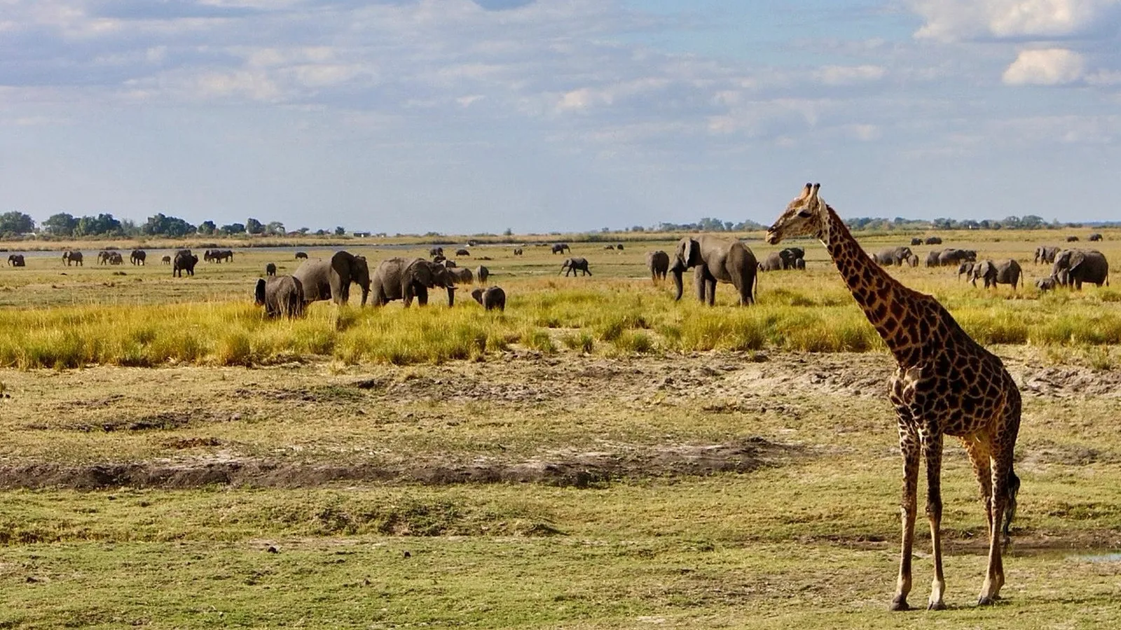 Botswana: visas, tax & cost of living