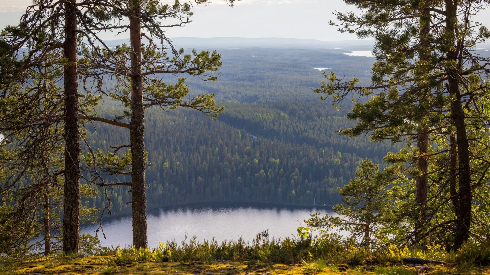 Finlande : visas, impôts et coût de la vie