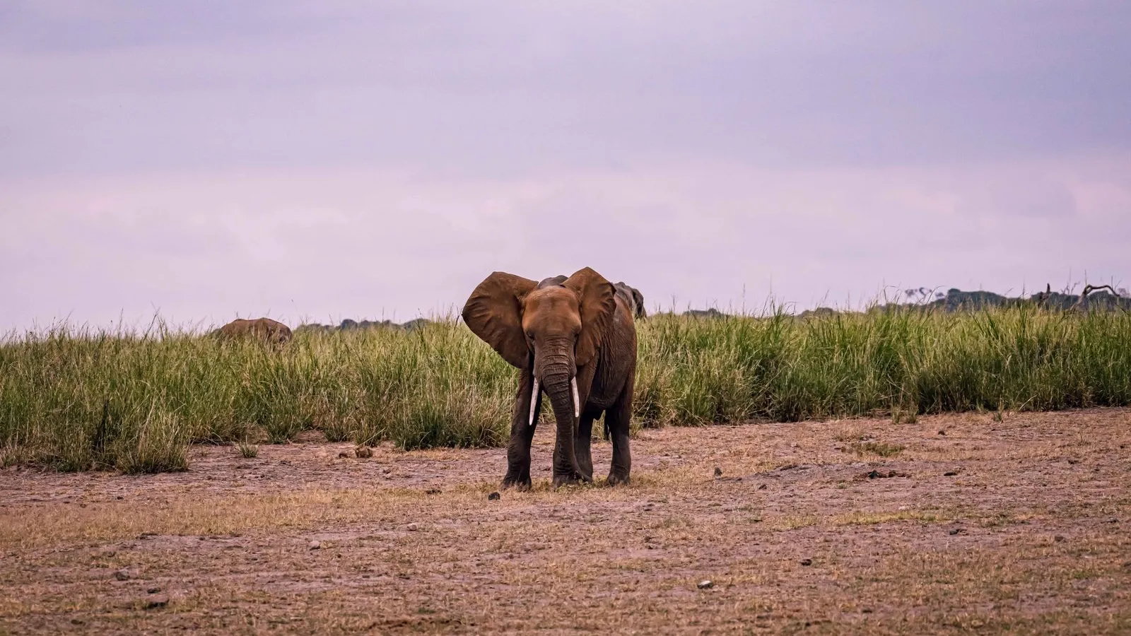 Gabon: visas, tax & cost of living