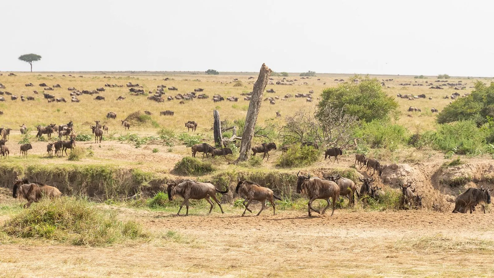 Kenya: visas, tax & cost of living