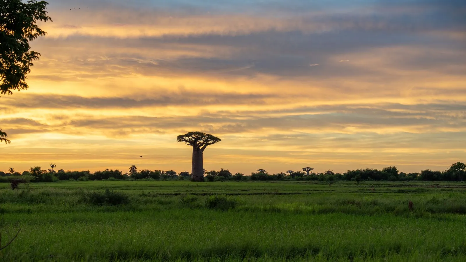 Madagascar: visas, tax & cost of living
