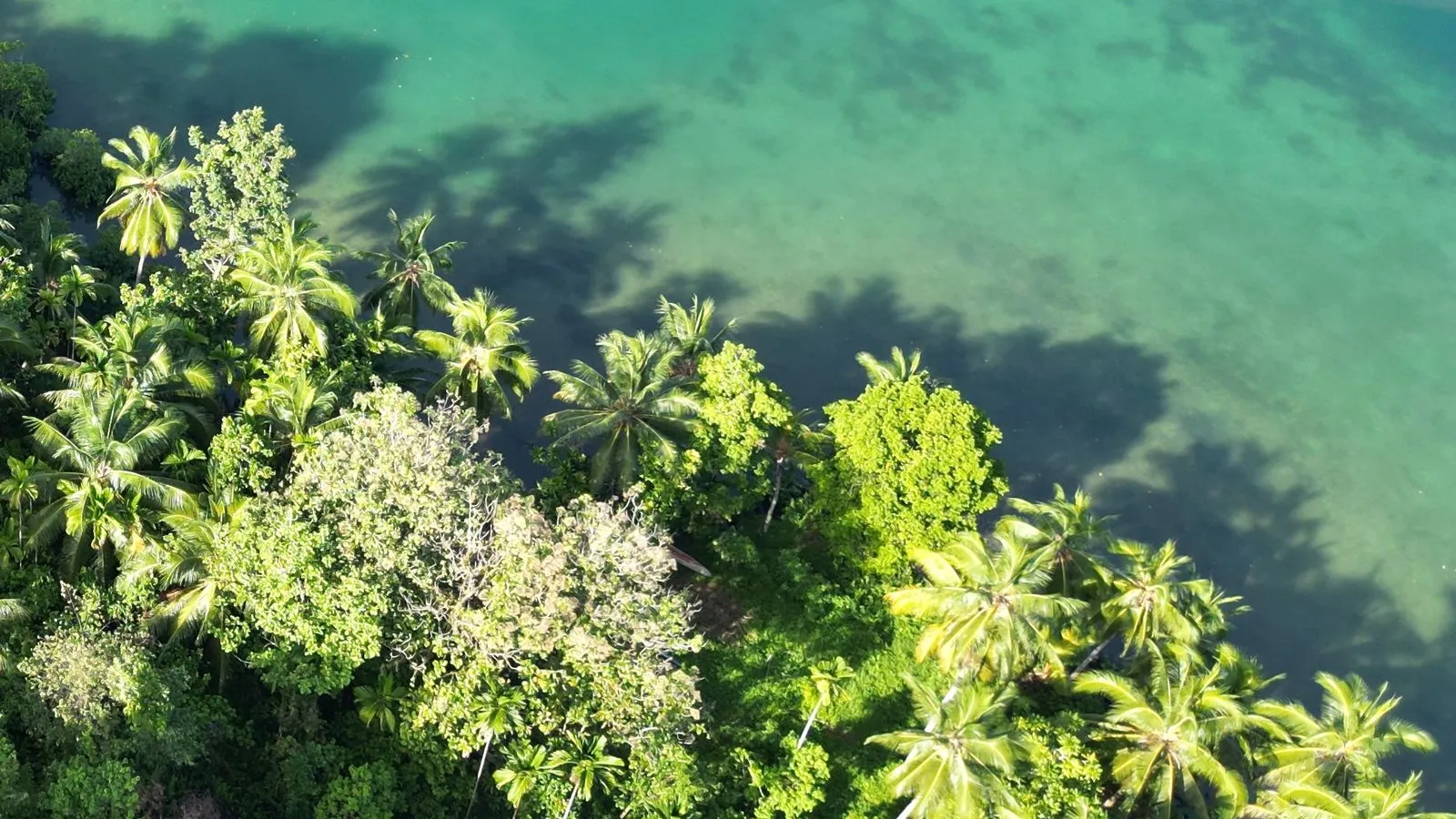 Micronesia: visas, tax & cost of living