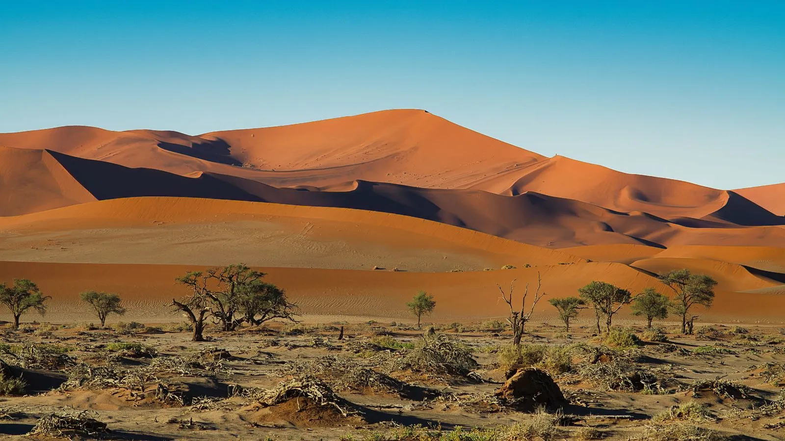 Namibia: visas, tax & cost of living