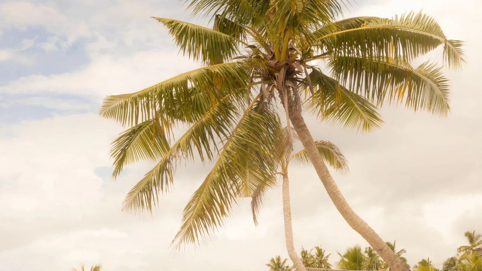 Samoa: visas, tax & cost of living