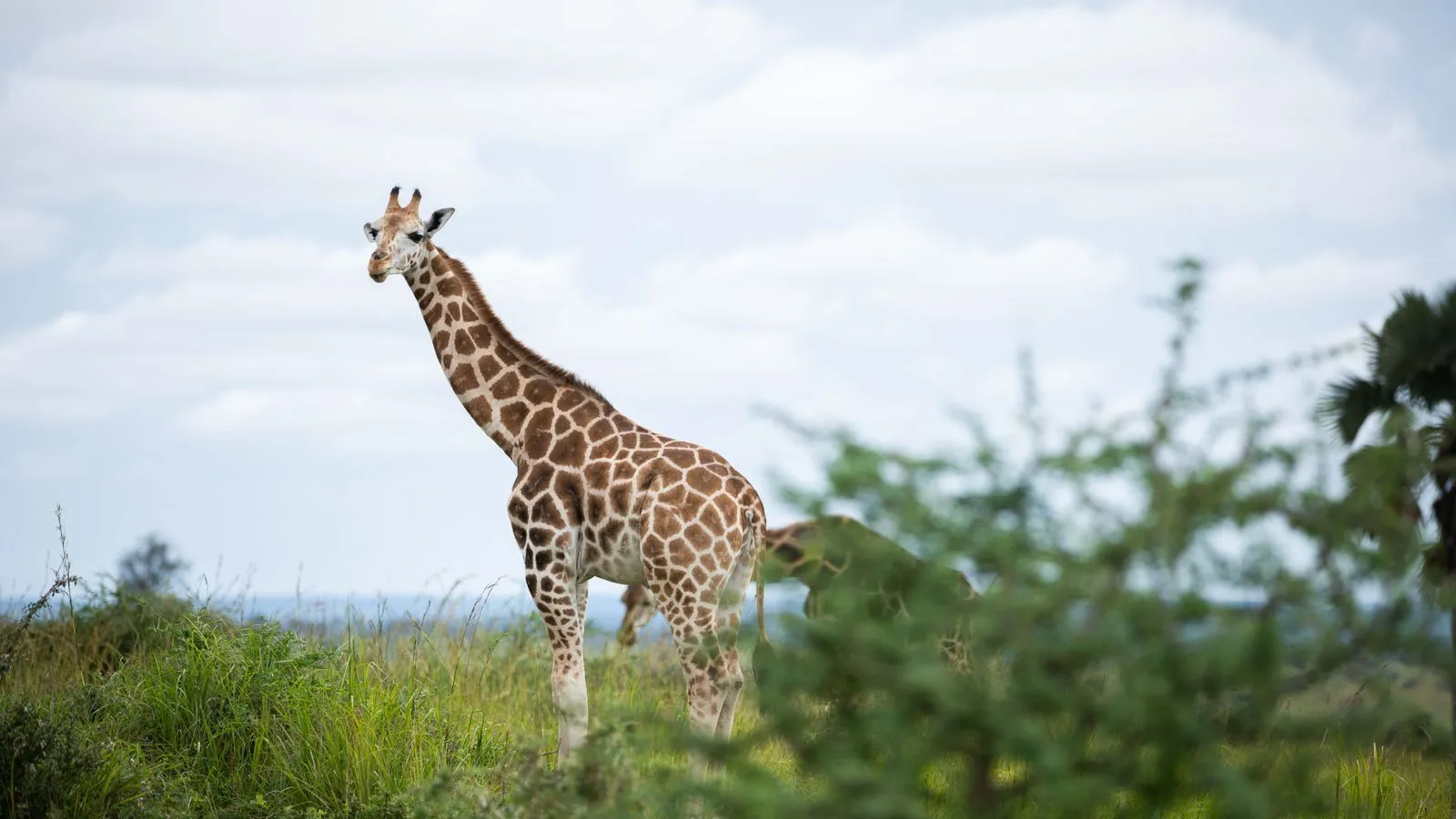 Uganda: visas, tax & cost of living